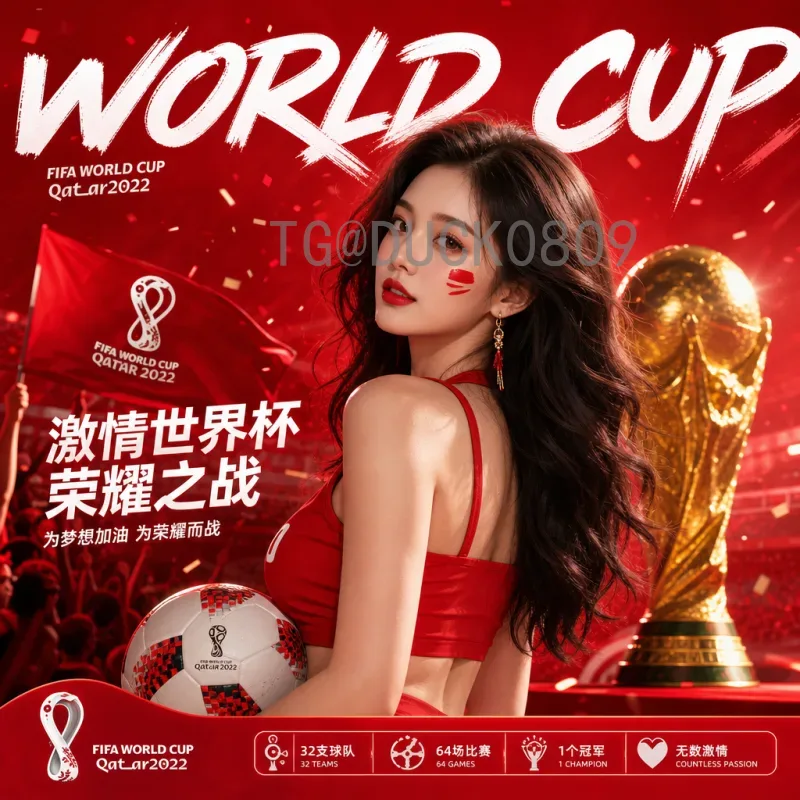 详细2026年国际足联世界杯决赛门票价格：购票攻略与注意事项